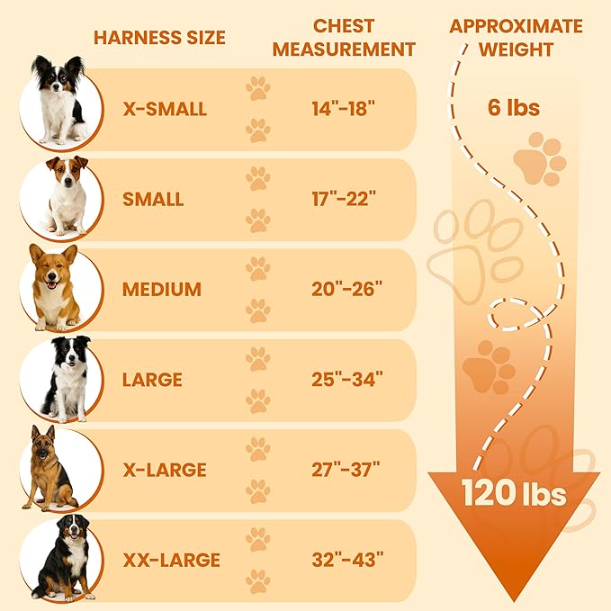Bark Appeal Black No-Pull Dog Harness for Extra Large Sized Pets – Adjustable, Reflective Vest with 3 Leash Clips for Added Control, Easy Walks & Training – XXL