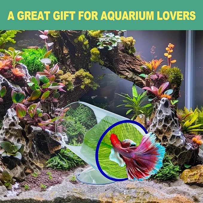 Hamiledyi 2 Pcs Betta Fish Acrylic Tube Tunnel Betta Fish Toys Betta Fish Tunnel Aquarium Hideouts for Rest Play Transparent Design for Better Observation of Betta Fish Tank Decorations (Light Blue)