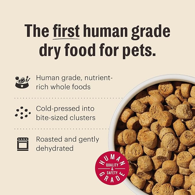 The Honest Kitchen Human Grade Whole Food Clusters Small Breed Blend Grain Free Dry Dog Food - Chicken, 10 Pound Bag