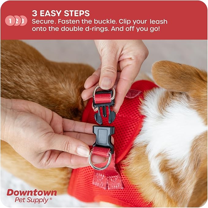 Downtown Pet Supply Step-in Dog Harness – No Pull, Adjustable Padded Mesh with Reflective Trim, Secure Buckle Strap – Comfortable & Breathable Small Dog Harness, X-Small, Red
