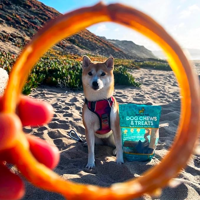 hotspot pets Bully Stick Rings for Dogs (5 Pack) 4 Inch Circles- Premium All Natural Long Lasting Beef Pizzle Dog Chew Treats - Low Odor, Grain Free, Fully Digestible, Rawhide Alternative Chews