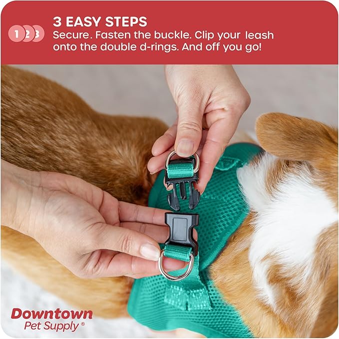 Downtown Pet Supply Step in Dog Harness for Small Dogs No Pull, X-Small, Bermuda Blue - Adjustable Harness with Padded Mesh Fabric and Reflective Trim - Buckle Strap Harness for Dogs
