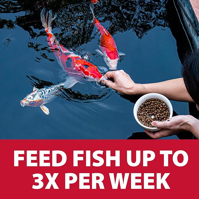 The Pond Guy Spring & Fall Wheat Germ Fish Food for Koi & Goldfish, Premium Cold Weather Floating Pellets, Healthy Formula for Winter Nutrition, 40 lbs
