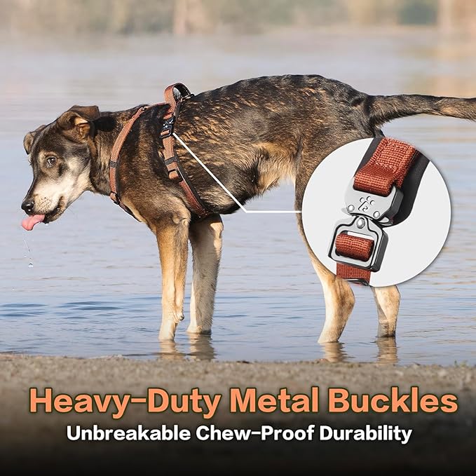 PawsPassion Dog Harness for Medium Dogs, No Pull Dog Harness Easy Walk with Metal Hardware, Ergonomic Y-Shaped Design, Soft Padding, Padded Handle, Durable High-Tensile Nylon (Canyon Red, M)