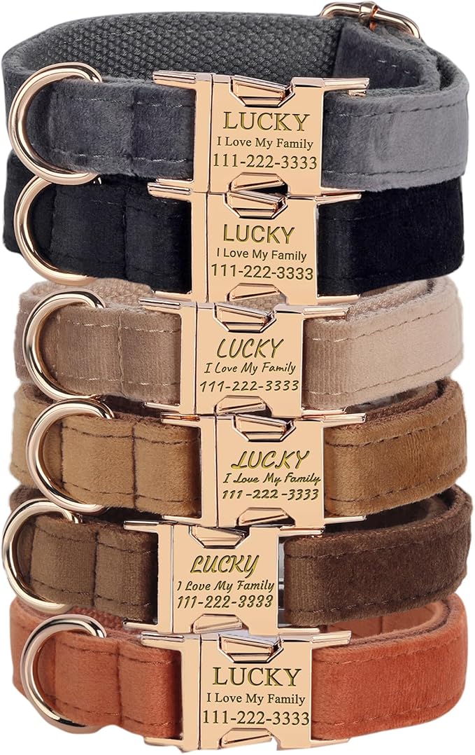 PETDURO Personalized Dog Collars Fancy Velvet with Custom Name Engraved for Large Medium Dog - Matching Leash, Bow Tie, Harness and Poop Bag Holder Available - Metal Buckle - Multi-Colors (XS)