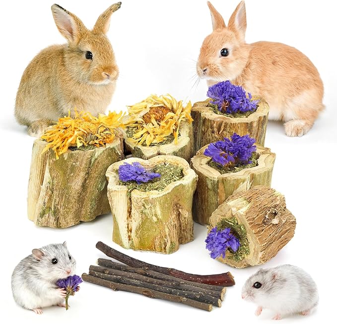 3.5oz Rabbit Chew Toys for Teeth，Bunny Papaya Wood Chew Toys Guinea Pig Treats with Apple Stick for Rabbits Guinea Pigs Hamsters Chinchillas Gerbils Prevent Teeth Overgrowth (3.5 oz, Flower)