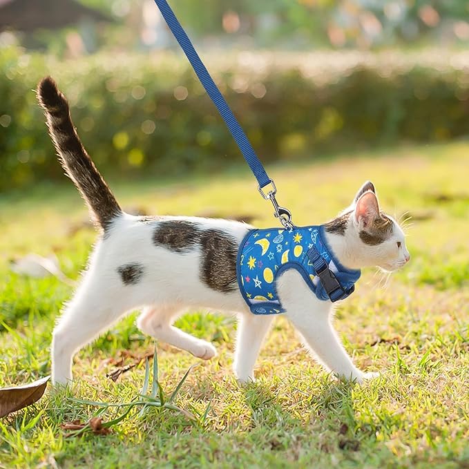 BINGPET Cat Harness with Leash Escape Proof - Fashionable Mesh Cat Dog Walking Harness Leads, Adjustable for Kitties Puppies Small Animals,Galaxy,XL