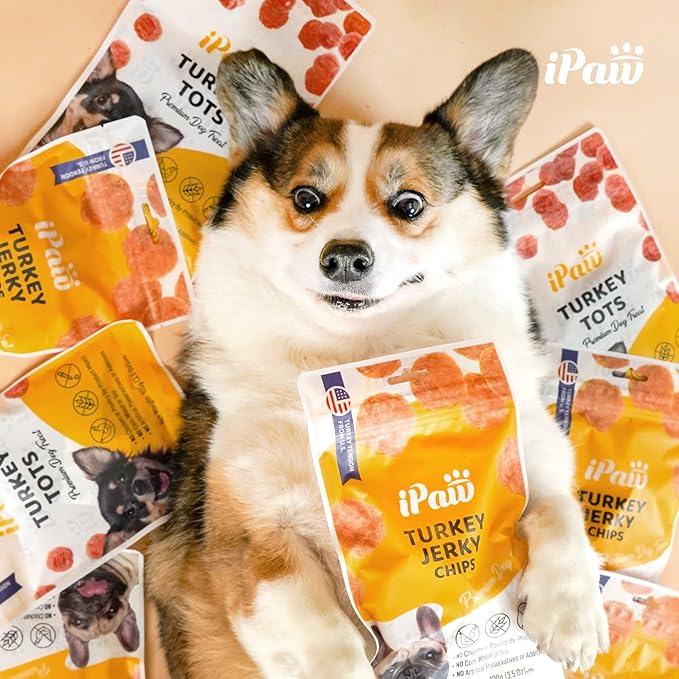 iPaw Turkey Chips Dog Treats for Puppy Training, All Natural Human Grade Dog Treat, US Sourced Raw Material, Hypoallergenic, Easy to Digest (Turkey Chips), 5 Packs