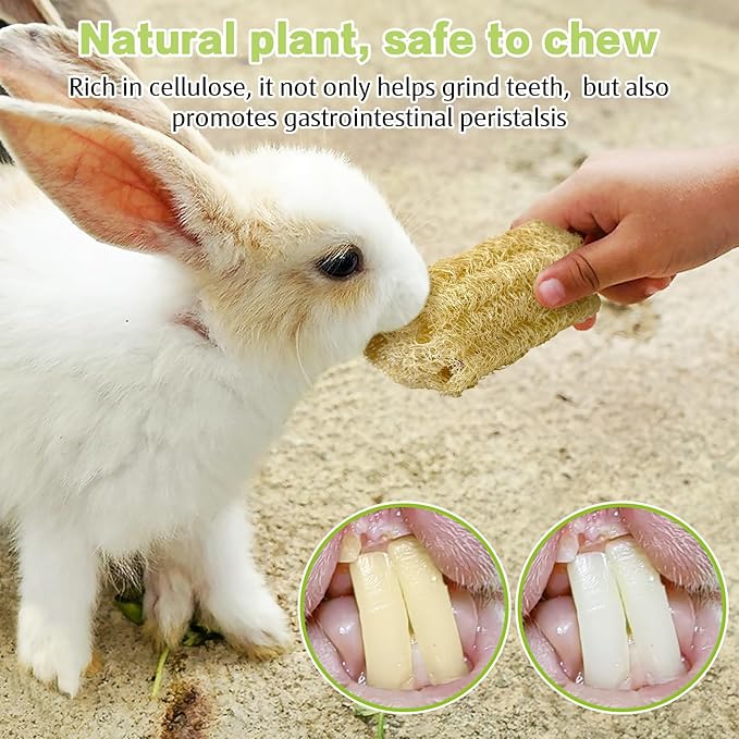 BNOSDM Bunny Chew Toys Natural Loofah 12PCS Bunny Teeth Grinding Toy Rabbit Fiber-Rich Treats Pet Entertainment Accessories for Rabbits Chinchillas Guinea Pig（S）