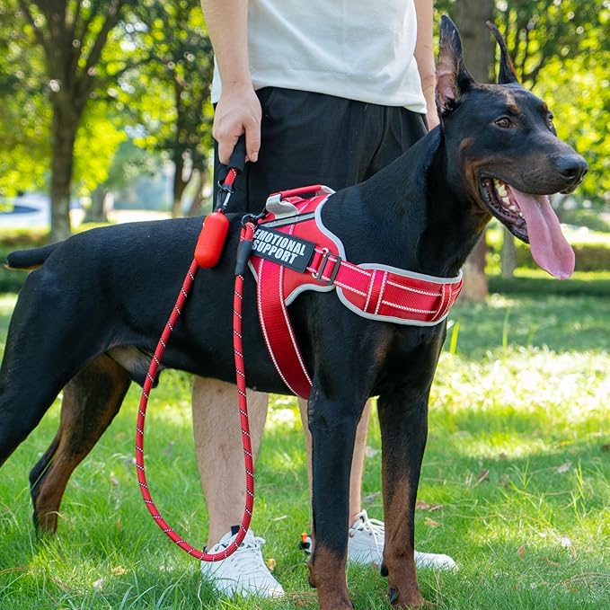 Neck Padded Service Dog Vest Harness and Leash Set, No Pull Adjustable Service Pet Harness with 8 Dog Patches, Reflective in Training Easy Control Pet Vest with 5ft Dog Leash for Medium & Large Dogs