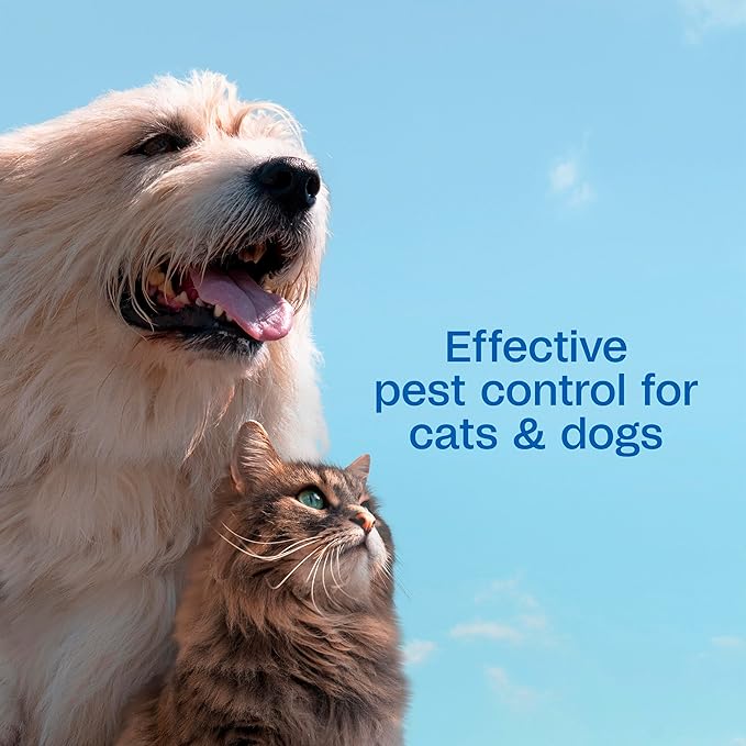 Adams Plus Flea & Tick Shampoo with Precor for Cats, Kittens, Dogs & Puppies Over 12 Weeks Of Age Sensitive Skin Flea Treatment | Kills Adult Fleas, Flea Eggs, Ticks, and Lice| 12 Ounces