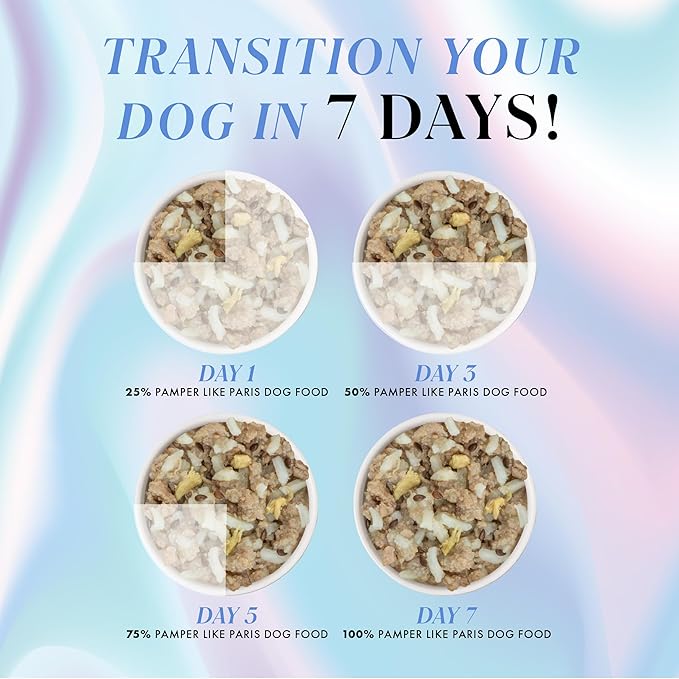 Weruva Pamper Like Paris Natural Wet Dog Food, Beef and Duck Recipes Cooked in Broth Variety Pack (2.75oz Cup, Pack of 10)