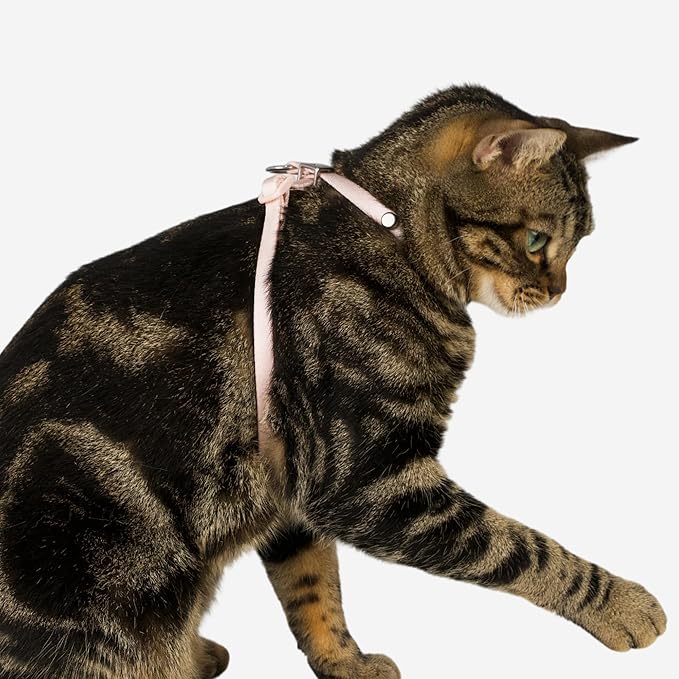 Escape Proof Cat Harness Anti-Choke Quick Release Adjustable QR Code Soft Nylon Durable Lightweight Figure 8 Cat Harness Anti Escape for Kitten Small Medium Large Cats (Linen, S)