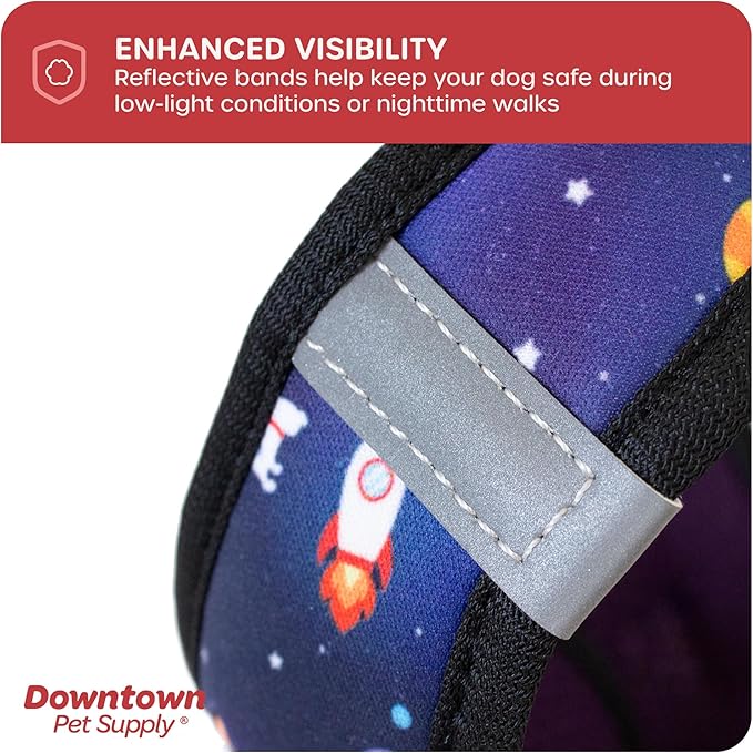 Downtown Pet Supply Step-in Dog Harness – No Pull, Adjustable Padded Mesh with Reflective Trim, Secure Buckle Strap – Comfortable & Breathable Small Dog Harness, X-Small, Space