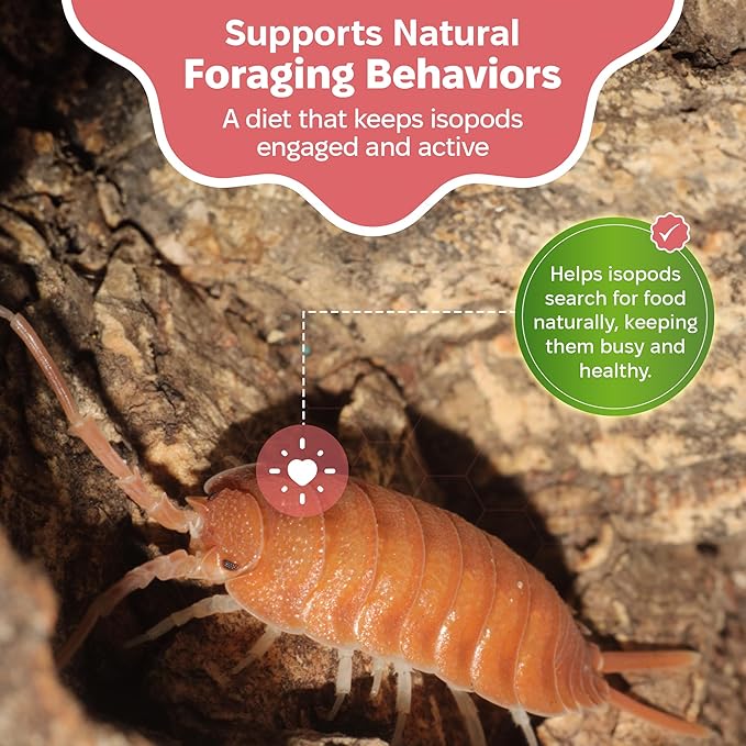 Snout and Shell Isopod Colony Builder - Daily Driver, Garden Foraging, and Wetland Foraging Bundle