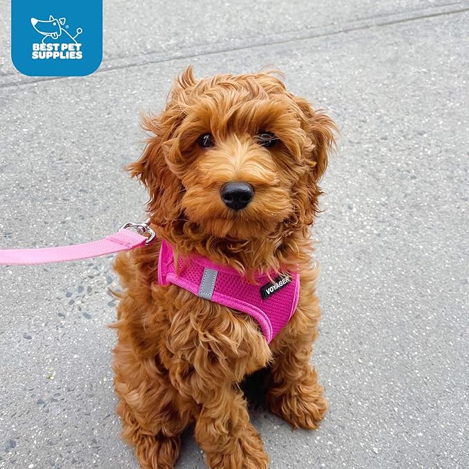 Best Pet Supplies Voyager Step-in Air Harness - All Weather Mesh, Reflective, No Pull Harness for Dogs, Cats - Secure with Hook & Loop Fastener, Buckle, Double D-Rings - Fuchsia, S
