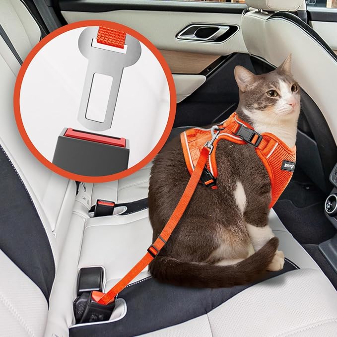 Cat Harness and Leash for Walking Escape Proof Soft Adjustable Cat Leash Breathable Comfortable Vest Easy to Wear Kitten Harness for Outdoor Travel, Orange, S