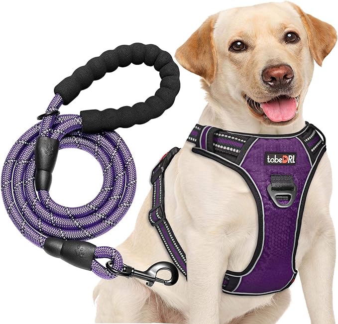 No Pull Dog Harness Adjustable Reflective Oxford Easy Control Medium Large Dog Harness with A Free Heavy Duty 5ft Dog Leash