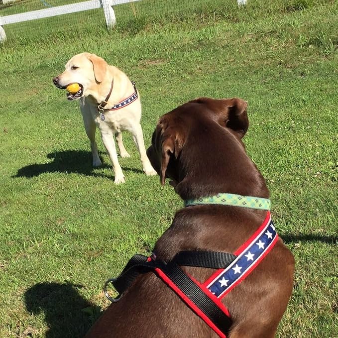 ComfortFlex Patriotic Dog Harness – Fully Padded, Adjustable, Lightweight No-Choke, No-Pull, Non-Chafing Design for Active Dogs, Enhanced Control, Made in The USA - Medium/Large, The Patriot