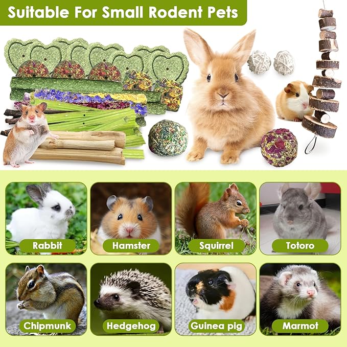 70Pcs Bunny Chew Toys with Applewood Hanging Strings, Bunny Treats for Rabbits Bunny Toys for Teeth, Papaya Stem, Timothy Stick, Apple Sticks, Sweet Bamboo, for Guinea Pig, Hamster, Chinchilla, Rat