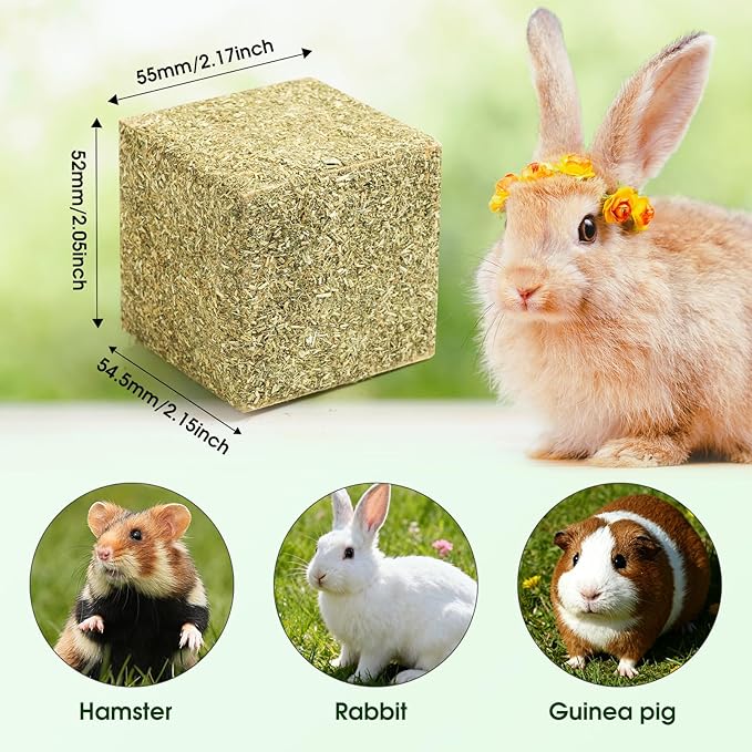 Abizoo Natural Rabbits Chew Toys Timothy Hay & Pine Wood Blocks for Guinea Pigs, Hamsters Small Animal Dental Care Digestion & Molar Health Vitamin Enriched Chewing Treats