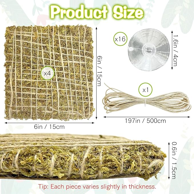 4 PCS Hermit Crab Climbing Wall 6 Inch Natural Moss Climbing Toy Reptile Decor with Suction Cups & Hemp Rope Hermit Crab Supplies for 10 Gallon Hermit Crab Tank