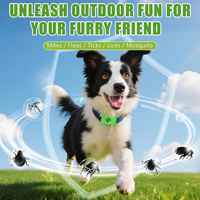 Natural Dog Tag for Flea & Tick Prevention – Waterproof Collar Pendant 2Pack with 4 Extra Refills, Safe for All Breeds, Collar Not Included,Green
