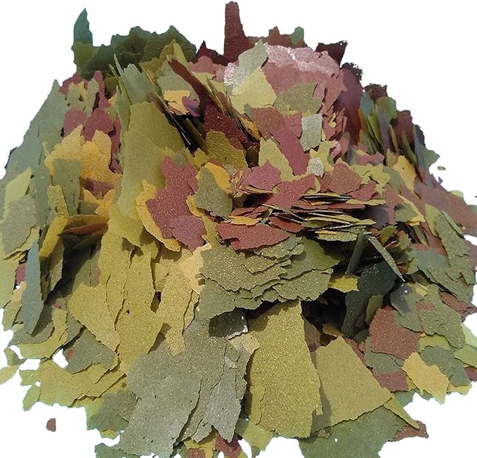 Aquatic Foods Inc. Angel Fish & Cichlid Flakes, Angels, Medium and Small Cichlids, Tetras, Guppies, Live Bearers, All Community Tropical Fish - Angel Fish AF Flakes - 2-lbs