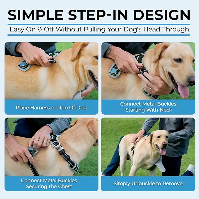 Step in Dog Harness for Large Dogs, Black, Adjustable, Easy On Off, No Pull Through Design, 2 Dog Leash Points, 3M Reflective Trim, Neoprene Padded Control Handle