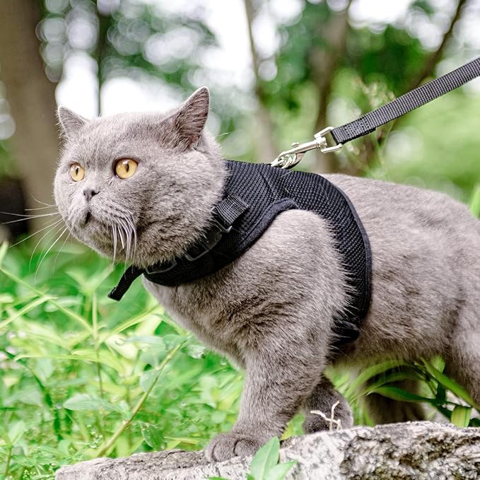 PUPTECK Soft Mesh Cat Vest Harness and Leash Set Puppy Padded Pet Harnesses Escape Proof for Cats Small Dogs Rabbits Bunny, Black Medium