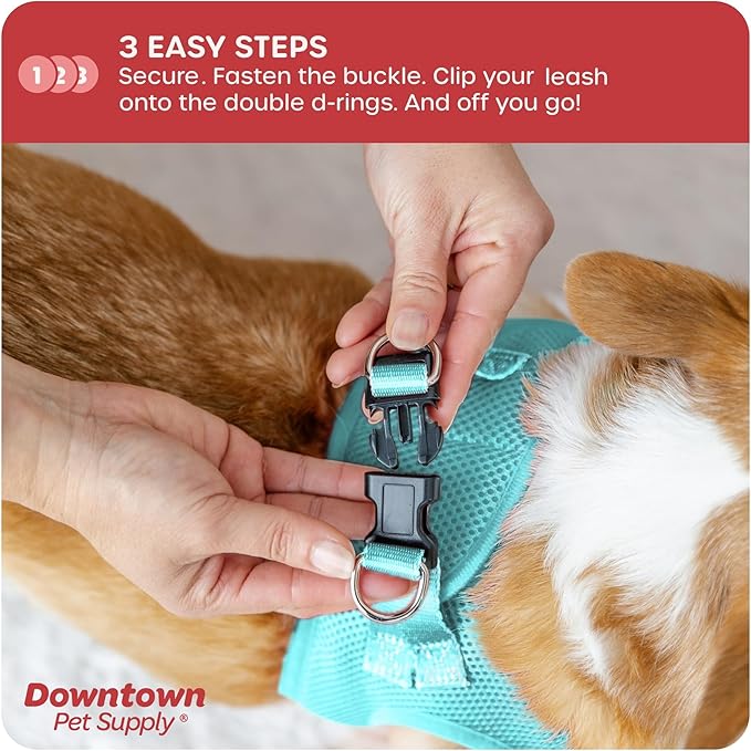Downtown Pet Supply Step-in Dog Harness – No Pull, Adjustable Padded Mesh with Reflective Trim, Secure Buckle Strap – Comfortable & Breathable Small Dog Harness, XX-Small, Light Blue