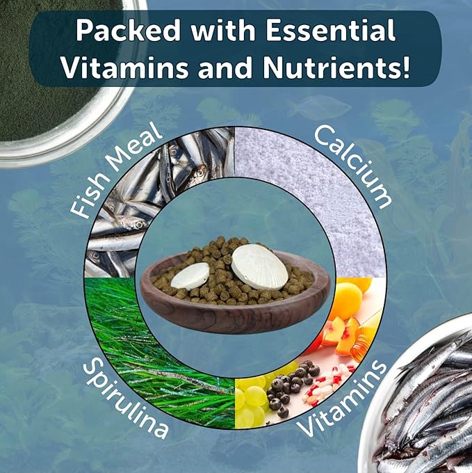 Aquatic Foods Inc. Snail & Shrimp, 4mm-3/16 Sinking 40% Protein Nuggets with Calcium Feeders for Snails, Shrimp, Crabs, All Bottom Tropical Fish...4-lbs 12oz Jar