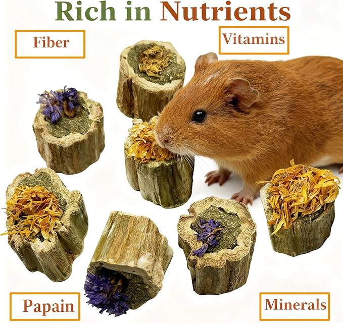 Rabbit Chew Toys Guinea Pig Treats Natural Papaya Wood Chew Sticks for Teeth Bunny Guinea Pig Hamster Chinchilla