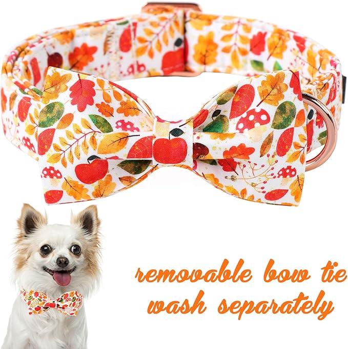 Unique Style Paws Thanksgiving Day Collar with Bow Fruit Leaf Flower Fruit Durable Cute Cotton Dog Collars for Small Medium Large Dogs
