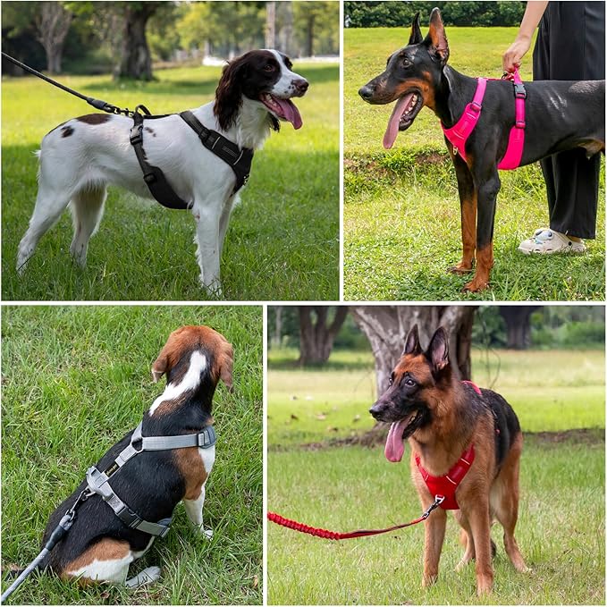 Plutus Pet No Pull Dog Harness, Reflective Adjustable Dog Vest Harness with Handle, Escape Proof, Soft Padded for Small Medium Large Dogs (Red, S)