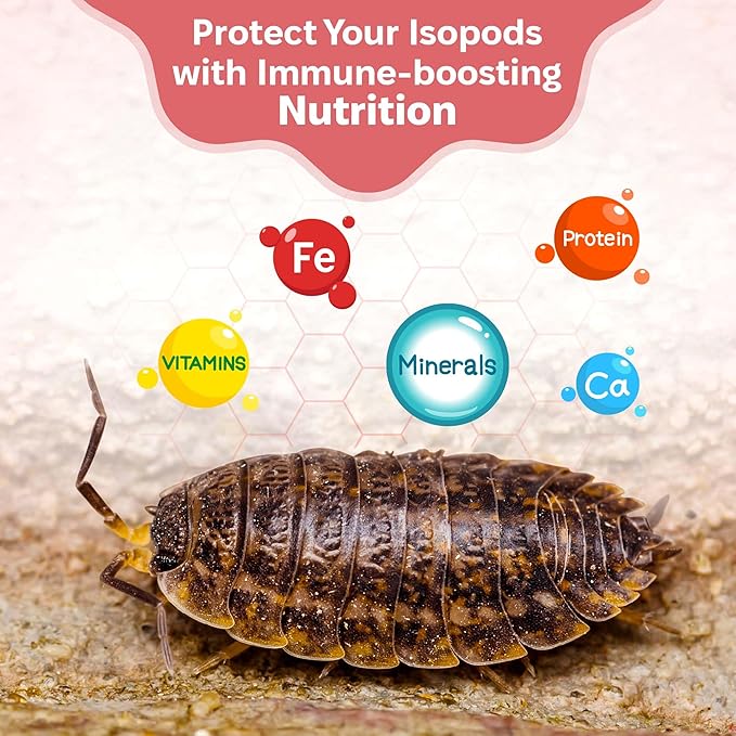 Snout and Shell Isopod Colony Builder - Daily Driver, Garden Foraging, and Wetland Foraging Bundle