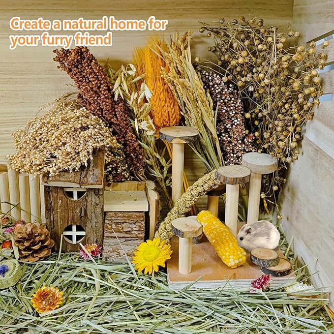 Natural Hamster Flower & Herb Habitat Deocr, Hamster Sprays Herbs Bedding Mate, Hamsters Cage Enrichment Decoration Accessories for Gerbil Dwarf Syrian Hamsters Mouse Guinea Pig Mice or Small Animals