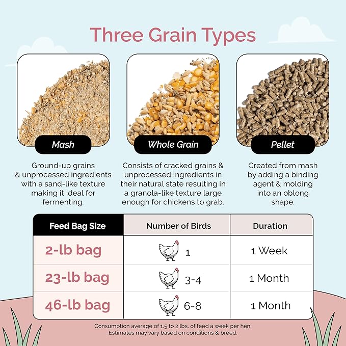 Mile Four Organic Chicken Feed – Layer Whole Grain, Non-GMO, USA Grown, 16% Protein, Corn-Free, Soy-Free, Non-Medicated Feed for Chickens, 23 lbs