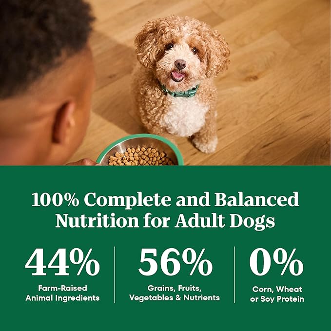 Nutro Natural Choice Adult Small Bites Dog Food, Chicken & Brown Rice Recipe, 30 lb. Bag