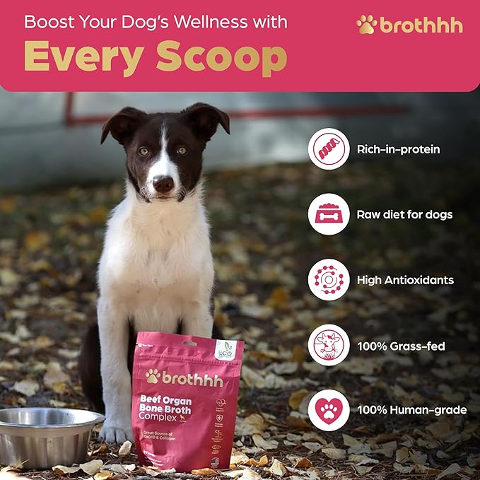 Beef Organ Bone Broth Meal Topper for Dogs - 100% Grass Fed, Veterinarian Approved, Non-GMO, Supports Joint Health, Heart Health, Vision, and Vitality - Made in The USA by Brothhh - Powder Supplement