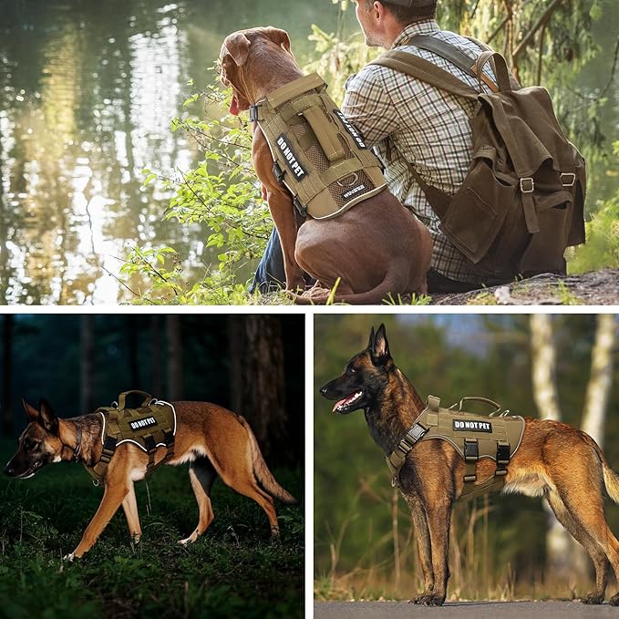 WINSEE Mesh Dog Harness with 10 Pet Patches for Medium Service Dog in Training, Breathable Tactical Molle Vest with Double Handle, Reflective Military Pet Vest for Walking Hiking
