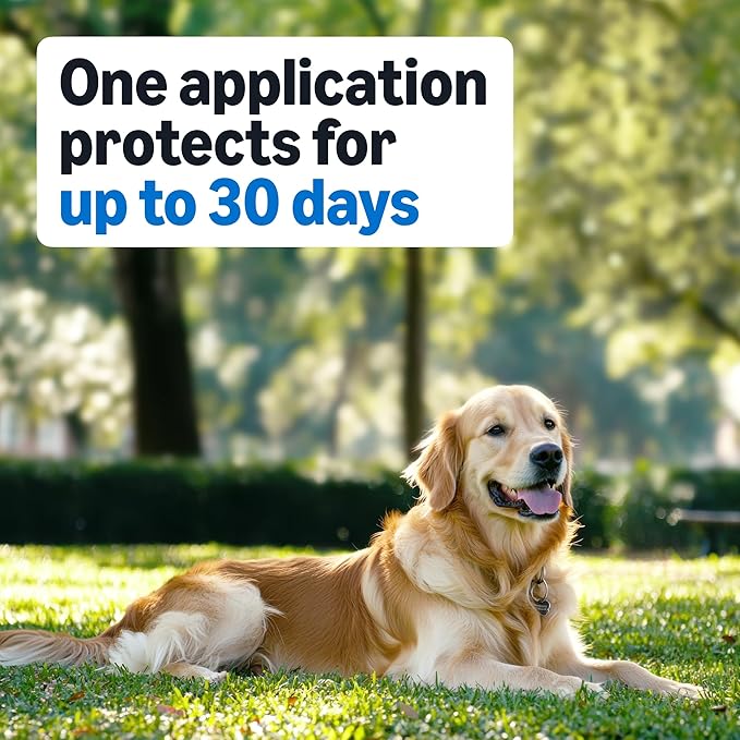 Amazon Basics Flea and Tick Topical Treatment for Dogs, Medium Dog (23-44 lbs), Fast Acting and Long Lasting, 3 Counts, Packaging May Vary