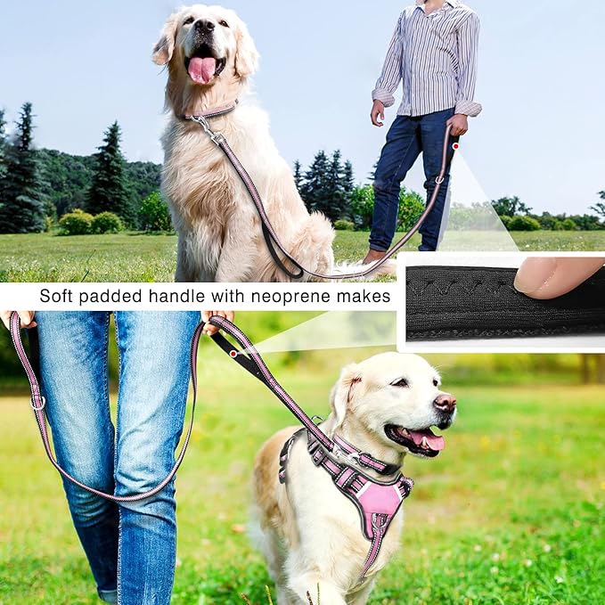 WINSEE Pet Harness Collar and Leash Set, All-in-one Reflective Dog Harness No Pull with Adjustable Buckles for Puppies, Small, Medium, Large, and Extra-Large Dogs (Large, Pink)