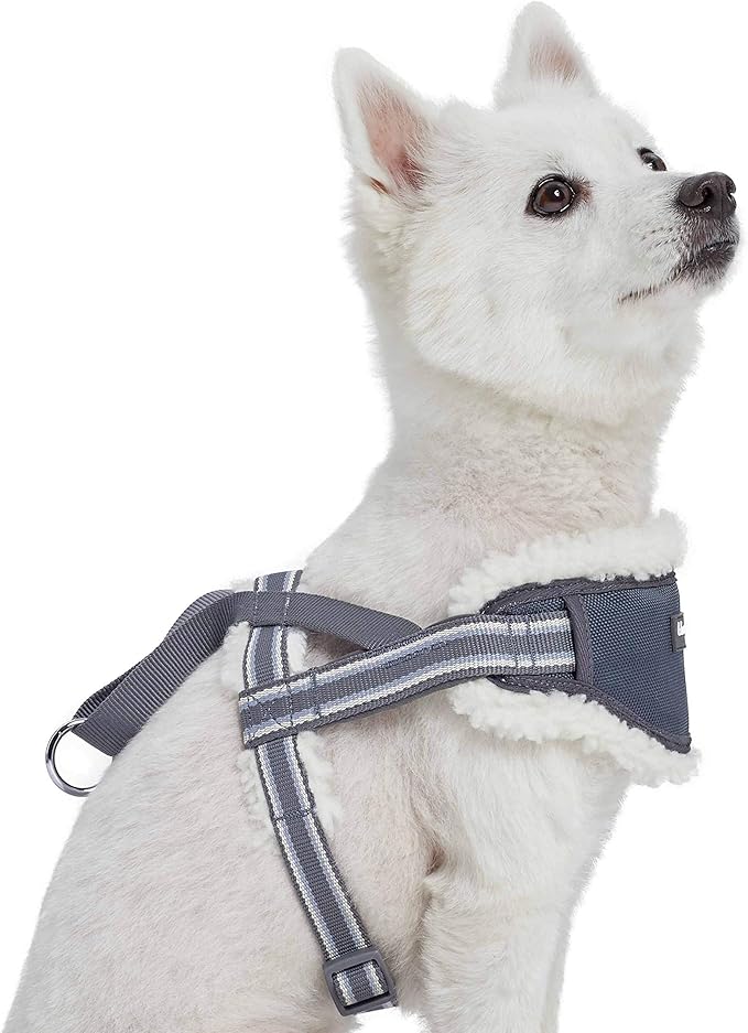 Blueberry Pet Soft & Comfy Multi-Colored Stripe Fleece Padded Chest Dog Harness, Chest Girth 16.5" - 21", Grey, Small, Adjustable No Pull Training Harness for Dogs
