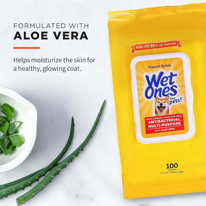 Wet Ones for Pets Multipurpose Dog Wipes with Aloe Vera, Tropical Splash Scent - Pet Bathing Wipes with Wet Lock Seal for Dog Paws & All Over Use, 100 Count