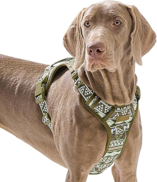 No Pull Dog Harness for Large Dogs with 2 Metal Clips, Easy On/Off with Neck Buckle, Heavy Duty Adjustable Puppy Vest, Breathable Pet Harness with Easy Control Handle, Green Ethnic L