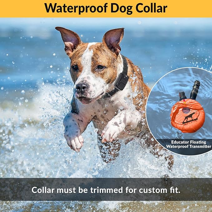 Educator E-Collar Humane Dog Training Collar with Remote, 100 Safe Tapping Stimulation Levels, Night Light, Waterproof, Rechargeable, 1 Mile 1 Large Dog, Orange