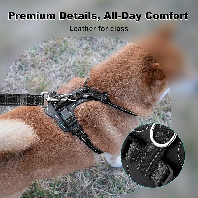 Plutus Pet Adjustable No Pull Dog Harness with Leather Accents, Heavy Duty Reflective Nylon Vest for Training, Hiking, Easy Walk Harness for Small, Medium, Large Dogs (Black, M)