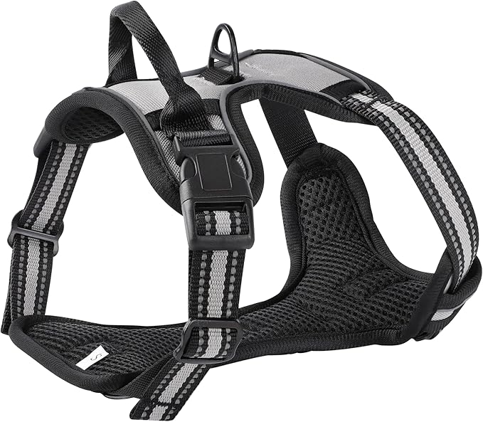 Gray No-Pull Dog Harness with 2 Leash Clips，Soft Padded Vest for Small Dog, Adjustable Reflective Dog Vest Easy to Put on and Take Off,(Neck: 13"~17", Chest: 17"~21",Gray Small)