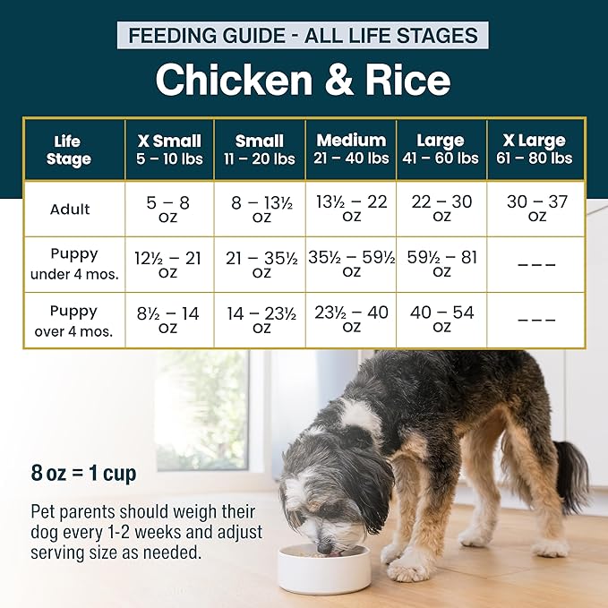 JustFoodForDogs Pantry Fresh Wet Dog Food, Complete Meal or Topper, Chicken & White Rice Human Grade Recipe - 12.5 oz (Pack of 6)